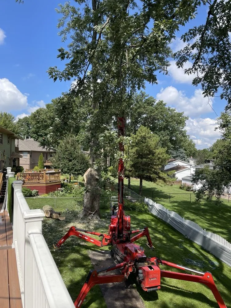 Expert landscaping services for homes across Omaha, NE - Francisco's Tree & Landscaping Services