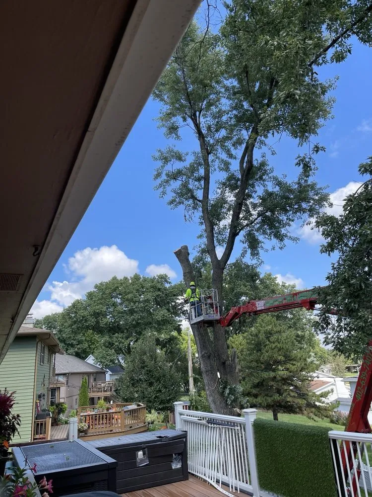 Affordable landscape design in Omaha, NE - Francisco's Tree & Landscaping Services