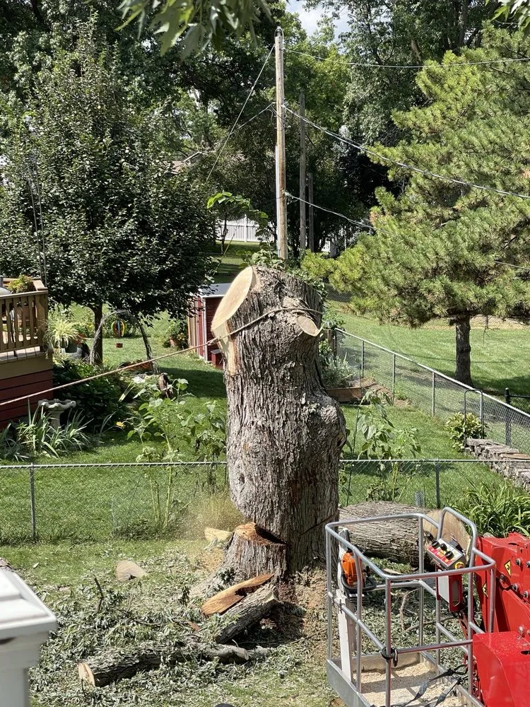 Trusted lawn care service for residential properties across Omaha, NE - Francisco's Tree & Landscaping Services