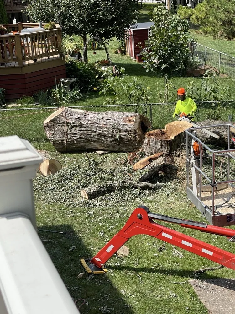 Custom lawn care service for residential properties across Omaha, NE - Francisco's Tree & Landscaping Services