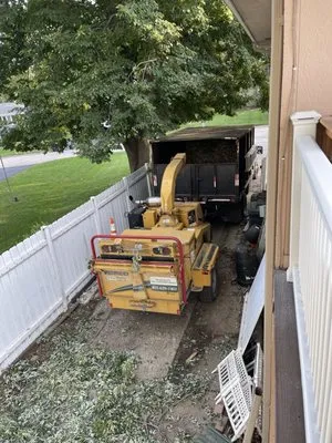 Francisco's Tree & Landscaping Services Logo