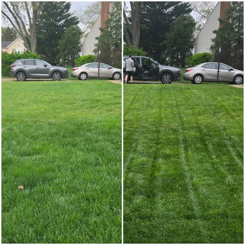 Top-rated yard cleanup service for outdoor upgrades in Chantilly, VA by Franco American Mowing