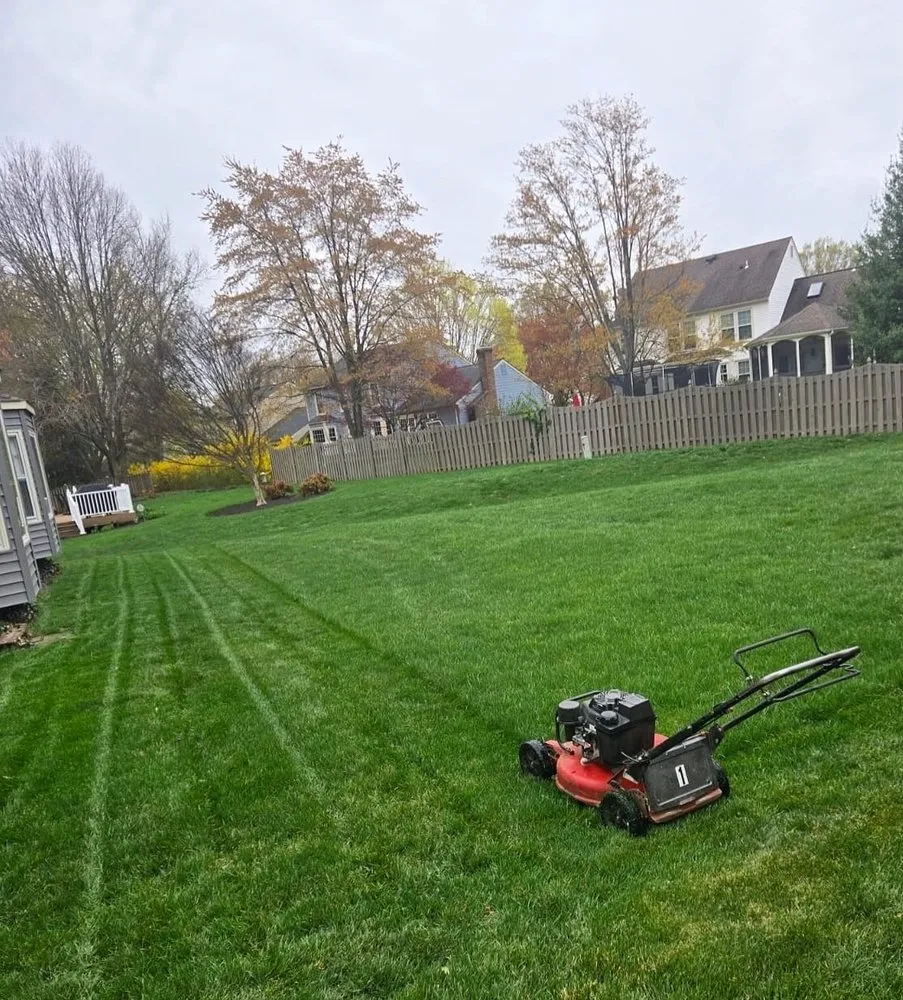 Trusted outdoor landscaping for year-round maintenance across Chantilly, VA - Franco American Mowing