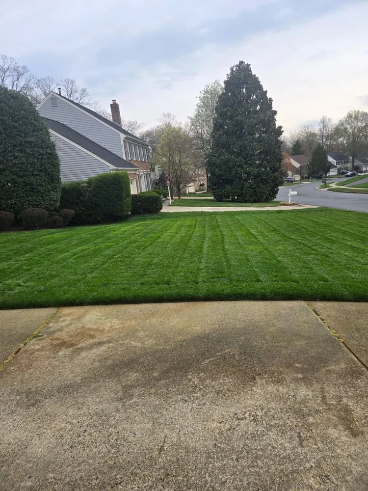 Affordable yard cleanup service in Chantilly, VA - Franco American Mowing