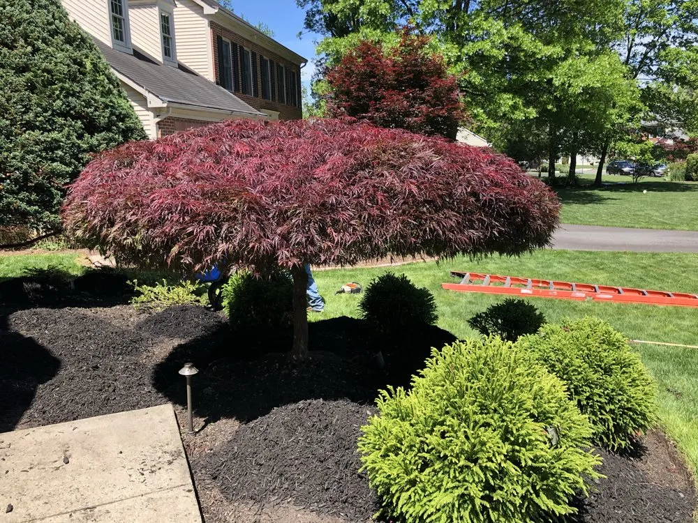 Expert landscape installation experts serving Chantilly, VA - Franco American Mowing