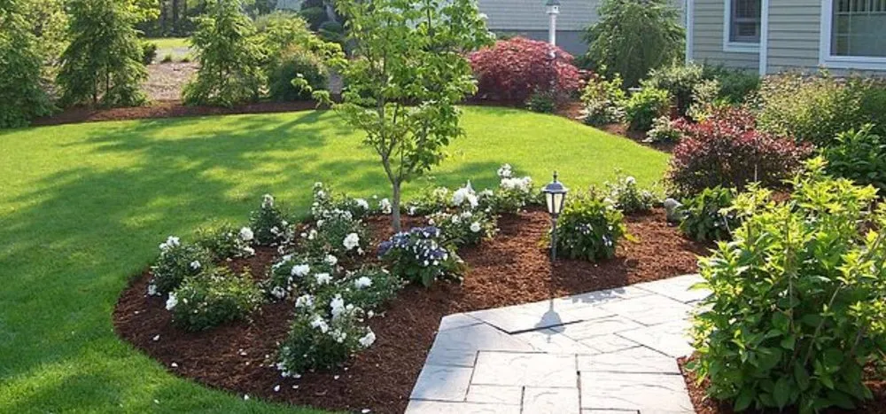 Professional yard cleanup service in Chantilly, VA by Franco American Mowing