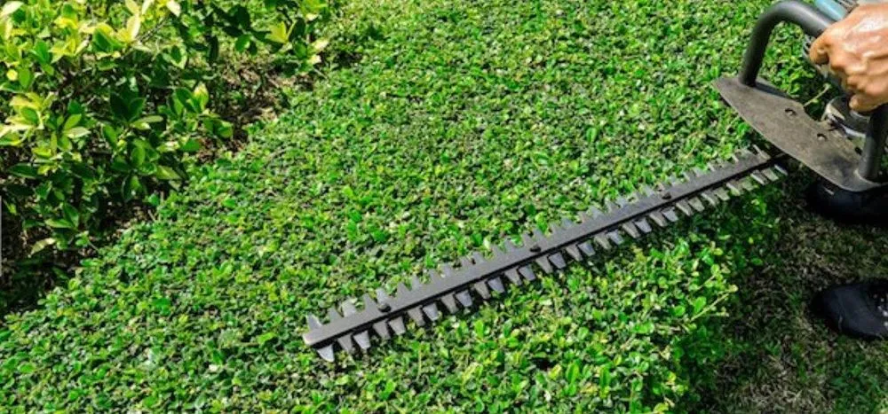 Local landscape installation for residential properties in Chantilly, VA by Franco American Mowing