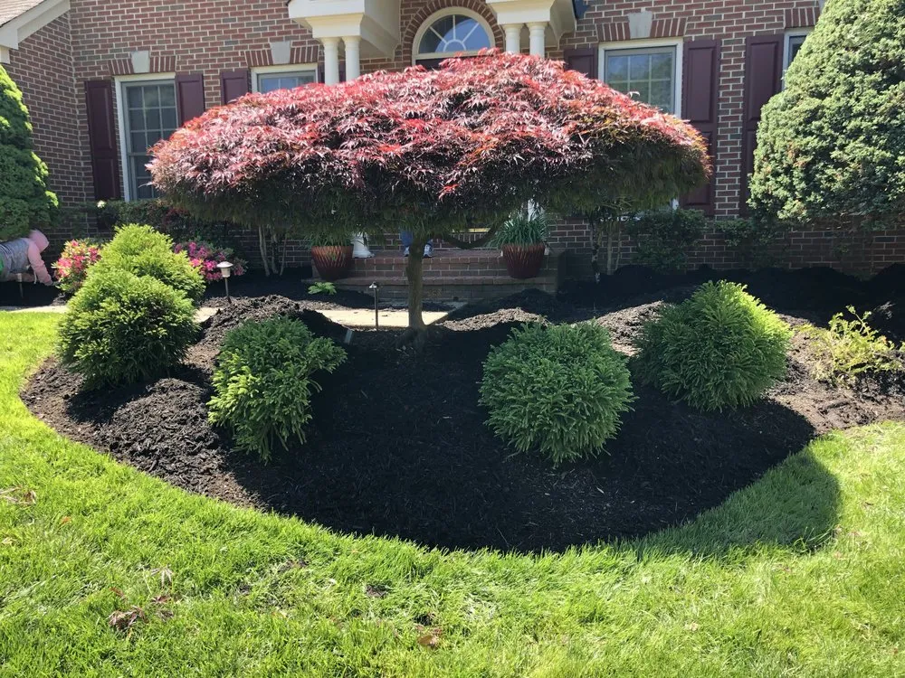 Local landscape design experts serving Chantilly, VA - Franco American Mowing