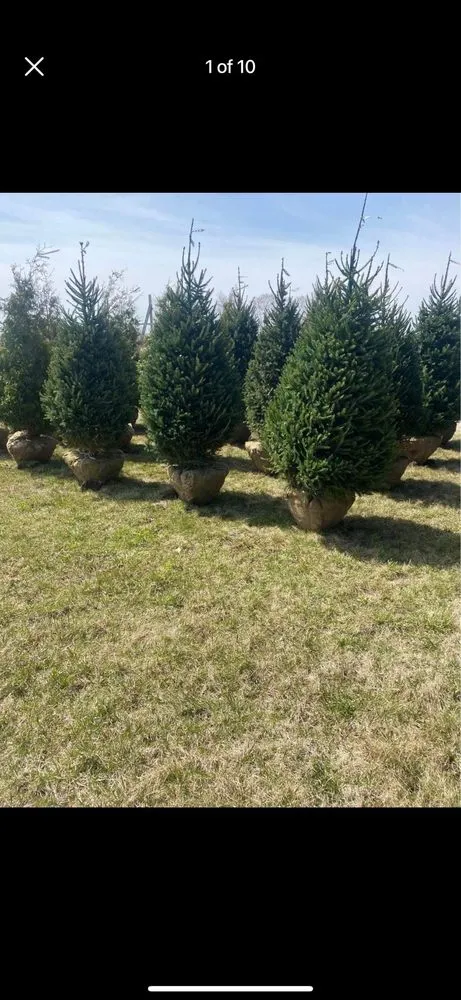 Local lawn mowing service experts serving Chicago, IL - Franco Landscape