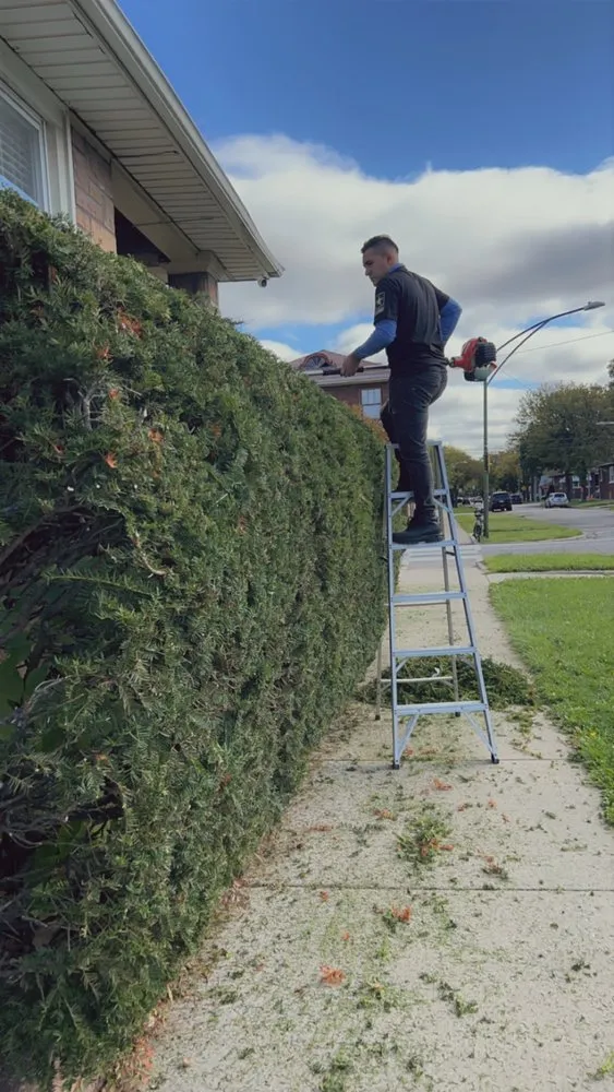 Affordable garden landscaping experts serving Chicago, IL - Franco Landscape