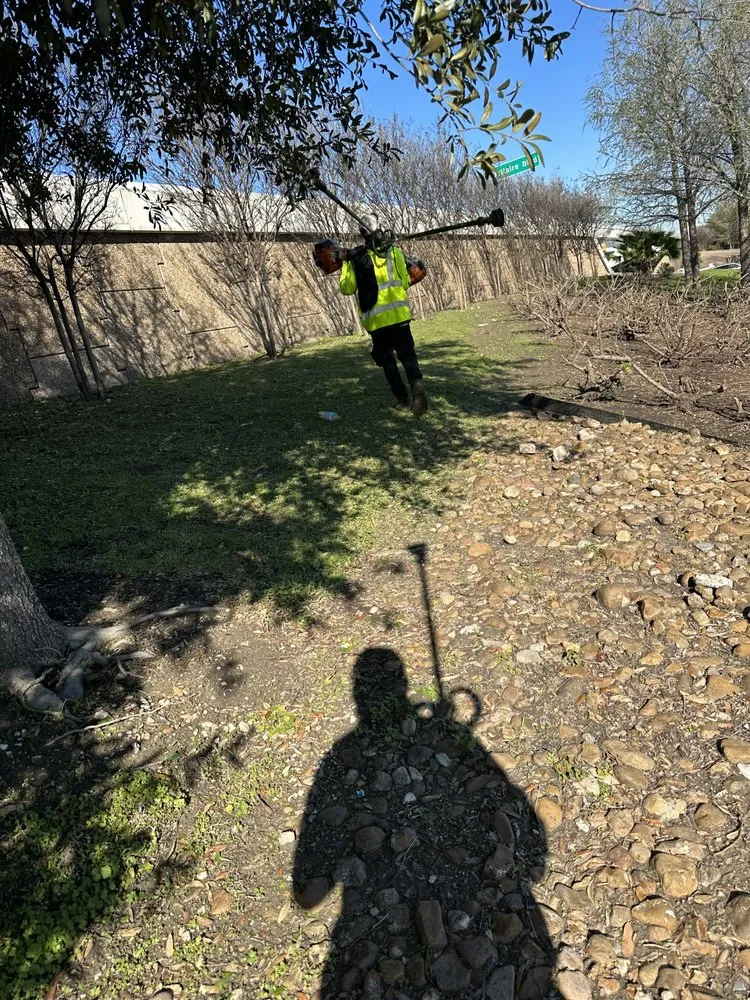 Trusted landscaping services in Houston, TX - Franco’ landscape