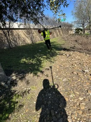 Franco’ landscape Logo