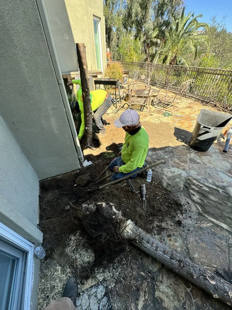 Professional garden landscaping in North Tustin, CA - Franco Landscape