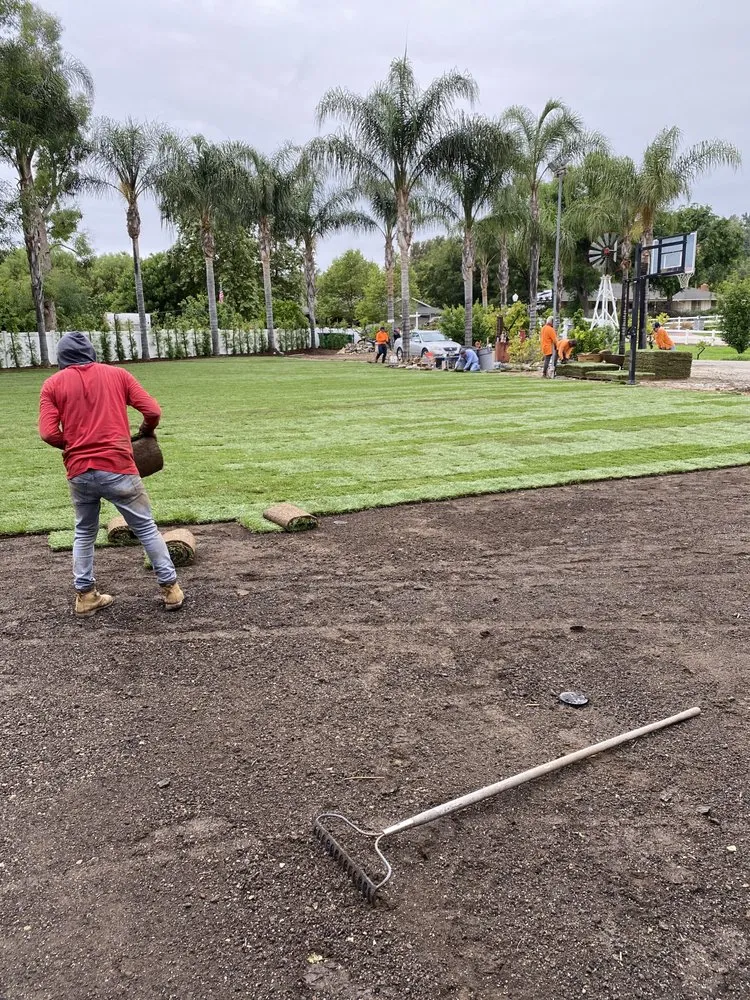 Affordable yard maintenance in North Tustin, CA by Franco Landscape