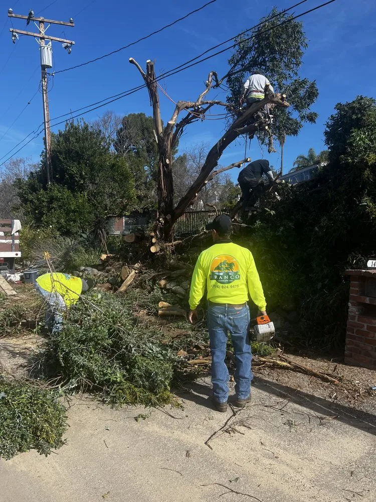 Top-rated landscape design for year-round maintenance in North Tustin, CA by Franco Landscape