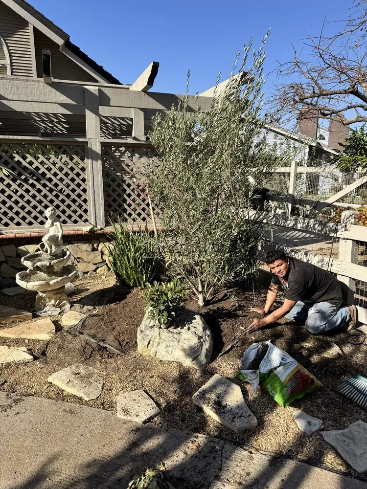 Affordable outdoor landscaping in North Tustin, CA by Franco Landscape