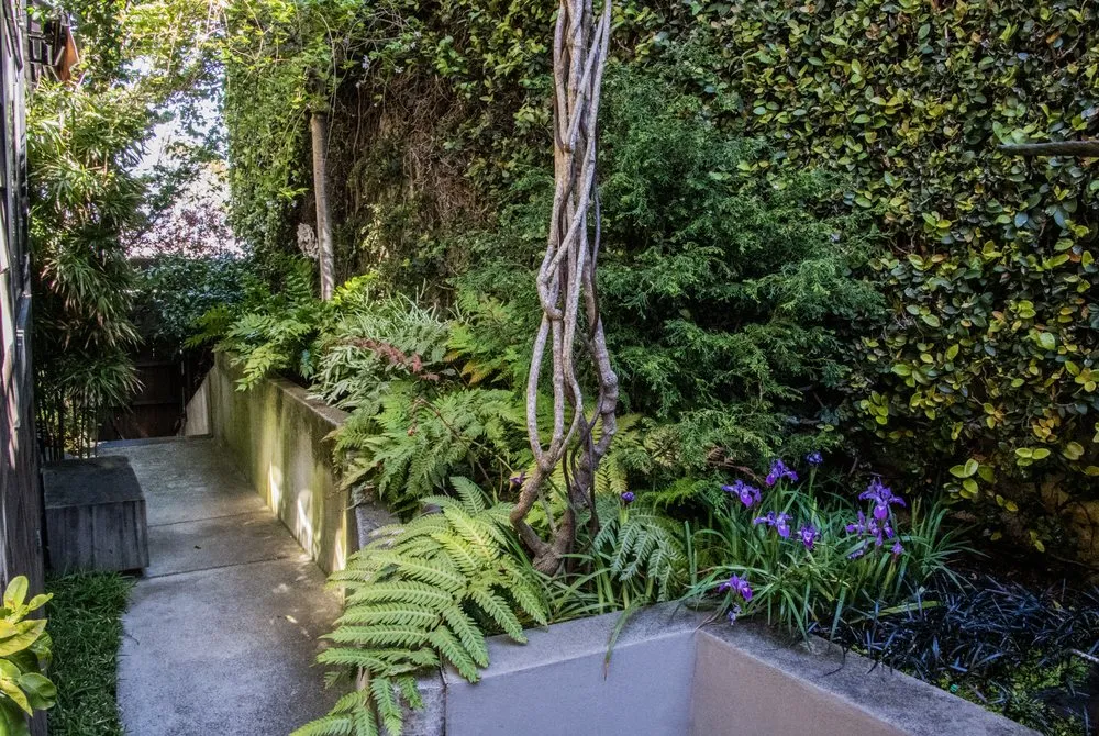 Trusted landscape design in San Francisco, CA by Franco Landscaping And Maintenance LLC