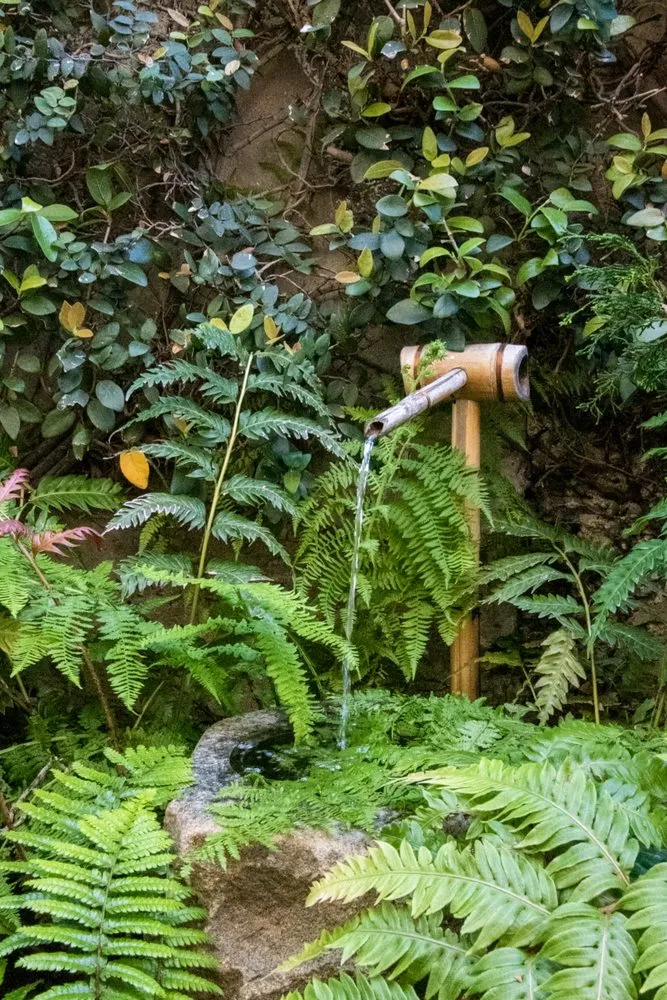 Local outdoor landscaping for beautiful yards across San Francisco, CA - Franco Landscaping And Maintenance LLC