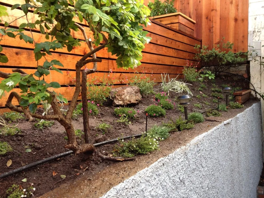 Expert landscape design for residential properties in San Francisco, CA by Franco Landscaping And Maintenance LLC