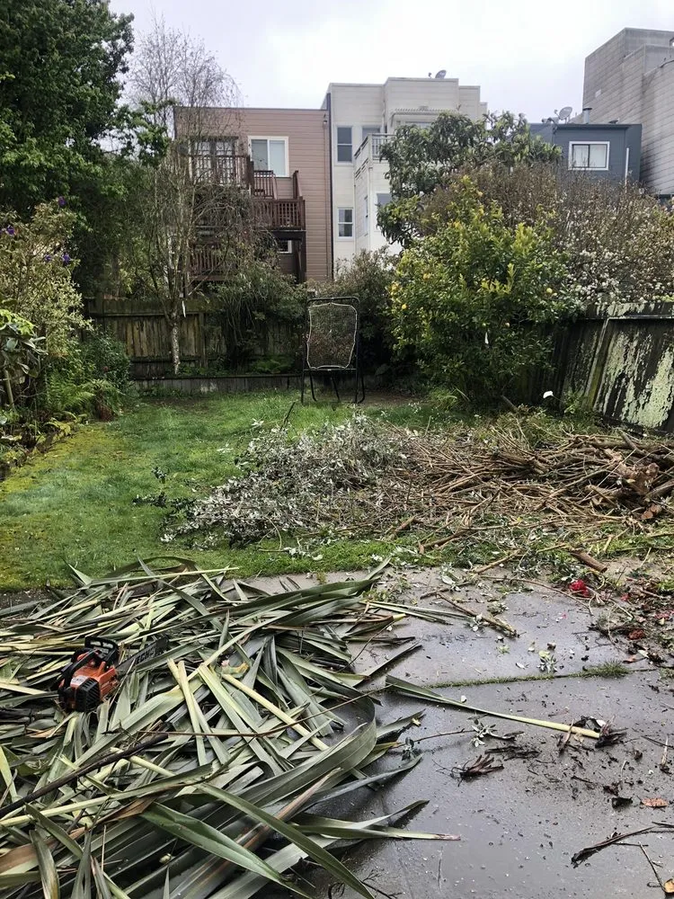 Trusted lawn mowing service for residential properties across San Francisco, CA - Franco Landscaping And Maintenance LLC