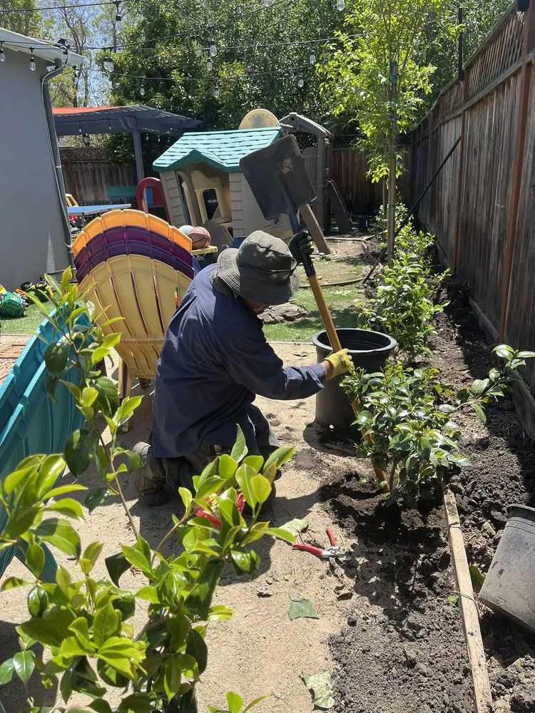 Local landscaping services in East Palo Alto, CA - Franco Landscaping Family Business