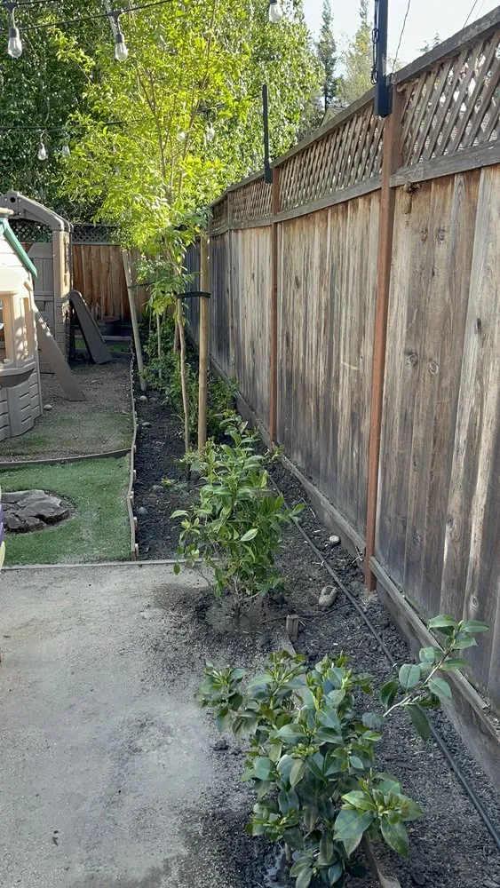 Custom landscaping services experts serving East Palo Alto, CA - Franco Landscaping Family Business