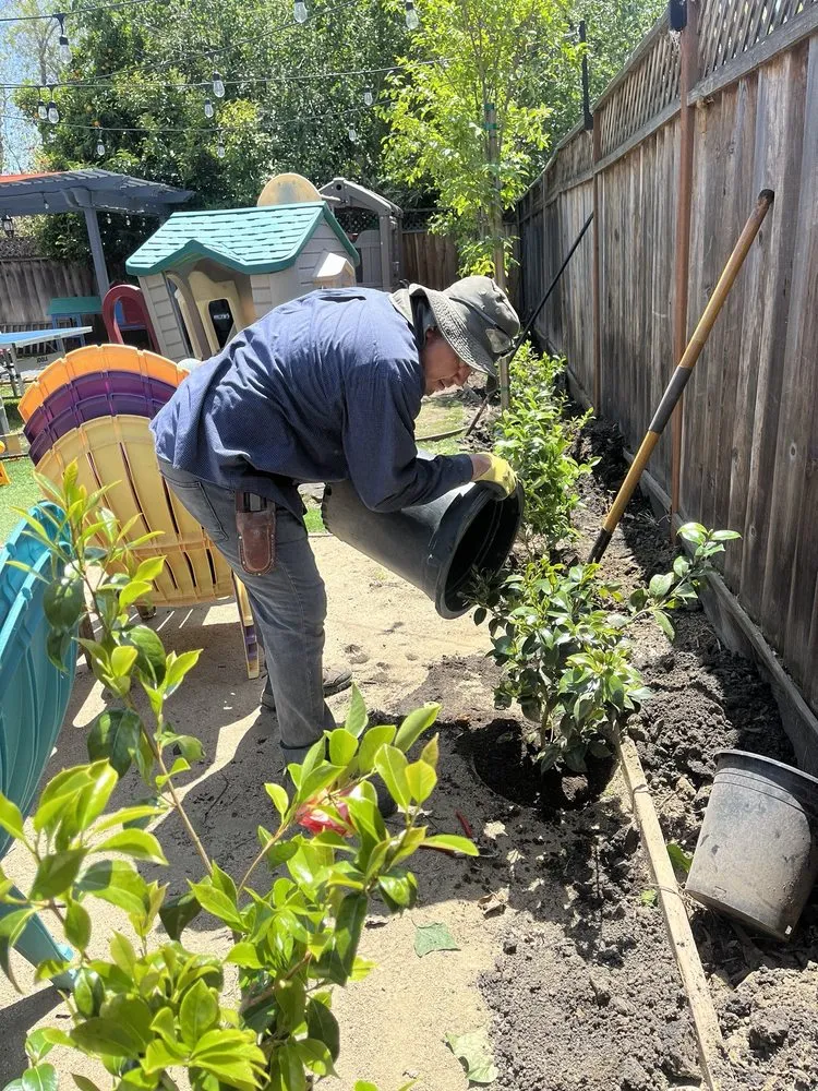 Top-rated landscape design for beautiful yards in East Palo Alto, CA by Franco Landscaping Family Business