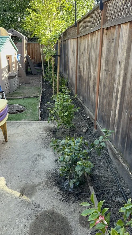 Local yard cleanup service in East Palo Alto, CA - Franco Landscaping Family Business