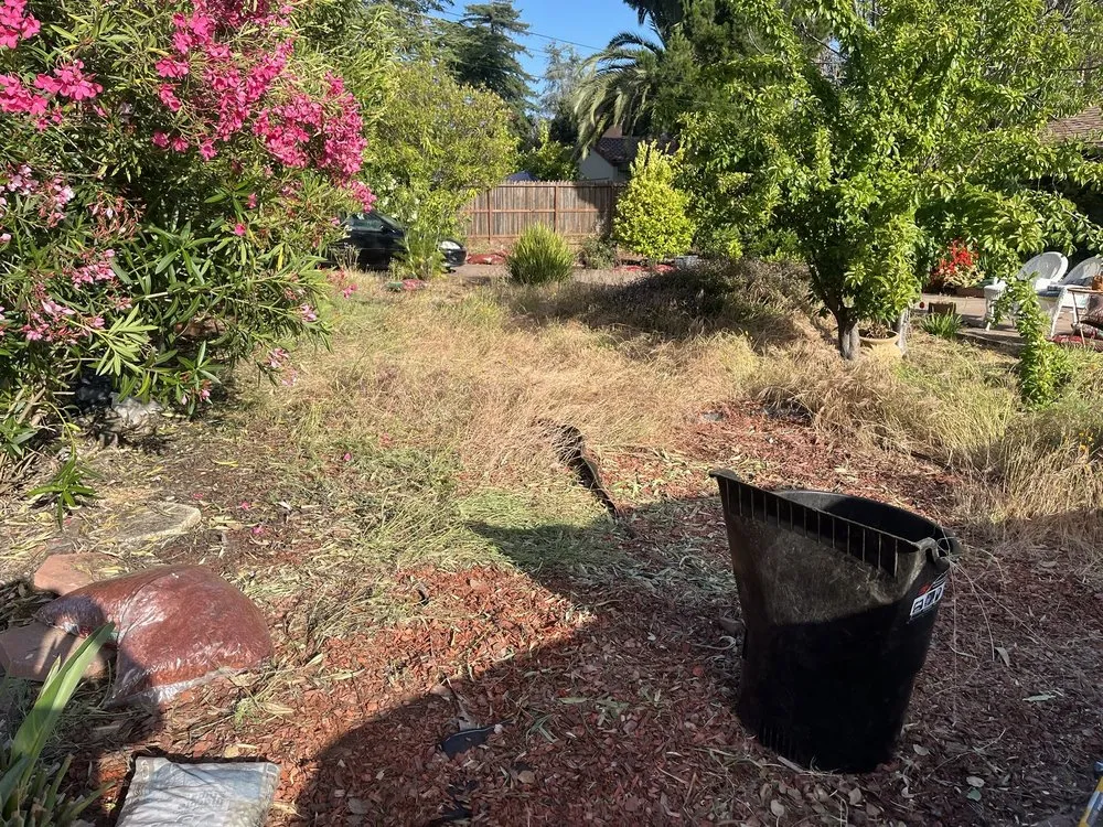 Custom yard cleanup service in East Palo Alto, CA - Franco Landscaping Family Business
