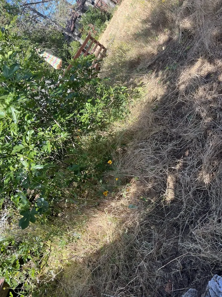 Local residential landscaping in East Palo Alto, CA - Franco Landscaping Family Business