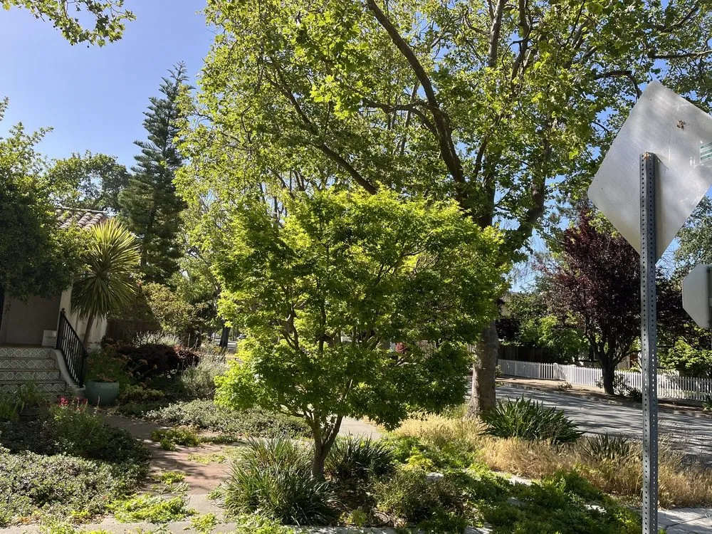 Reliable outdoor landscaping experts serving East Palo Alto, CA - Franco Landscaping Family Business