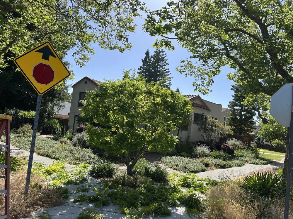 Local lawn care service in East Palo Alto, CA - Franco Landscaping Family Business