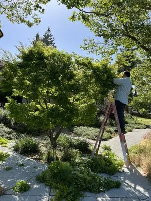 Franco Landscaping Family Business