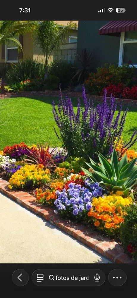 Affordable yard maintenance for outdoor upgrades in South Houston, TX by Franco Landscaping