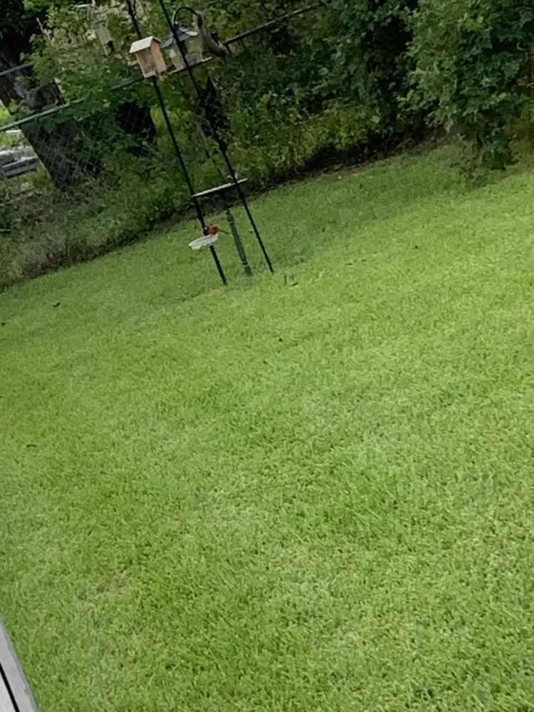 Trusted yard cleanup service with custom design in South Houston, TX by Franco Landscaping