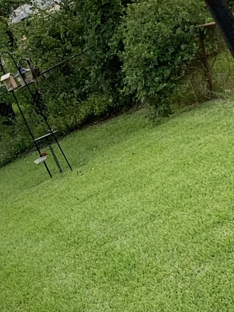 Custom outdoor landscaping in South Houston, TX - Franco Landscaping