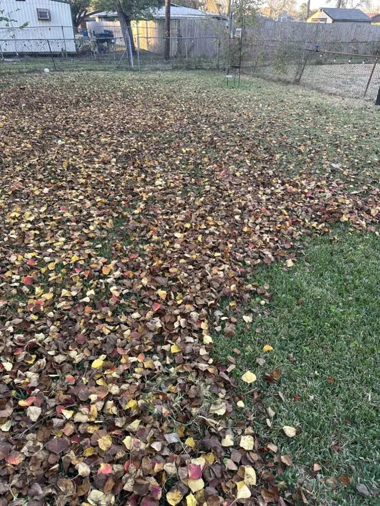 Custom landscape design in South Houston, TX by Franco Landscaping