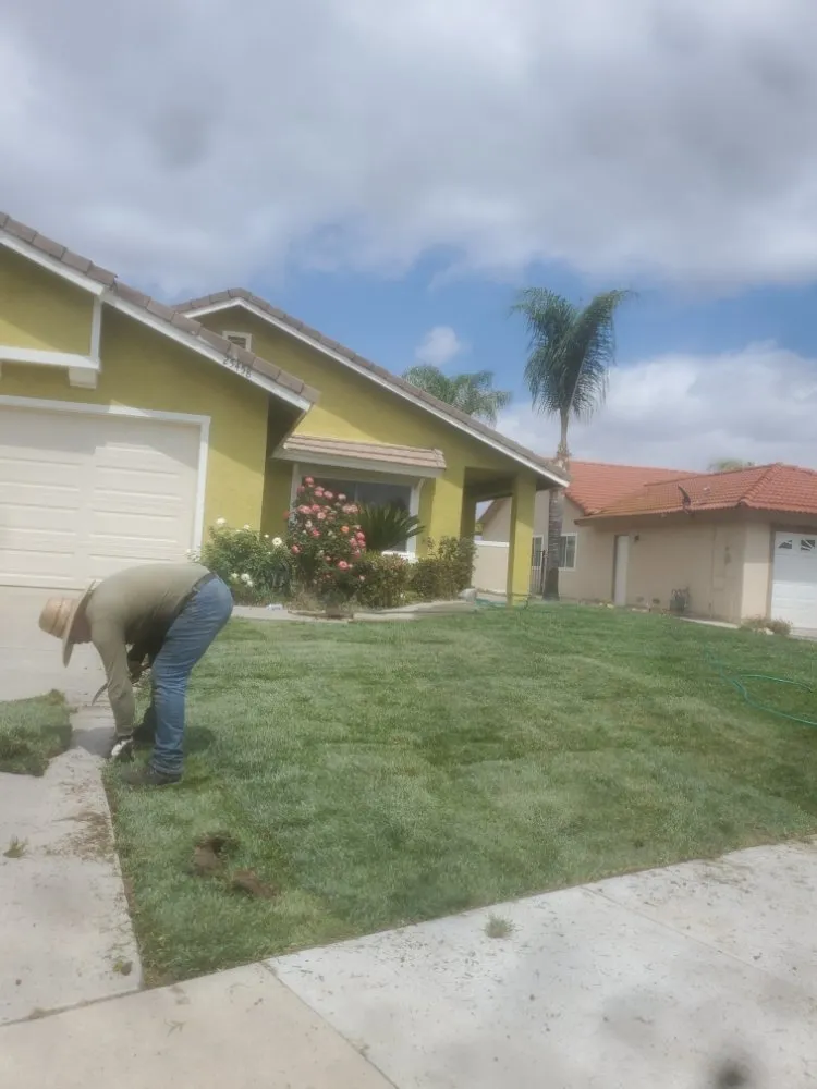 Local lawn care service in Grand Terrace, CA by Franco Tree Services