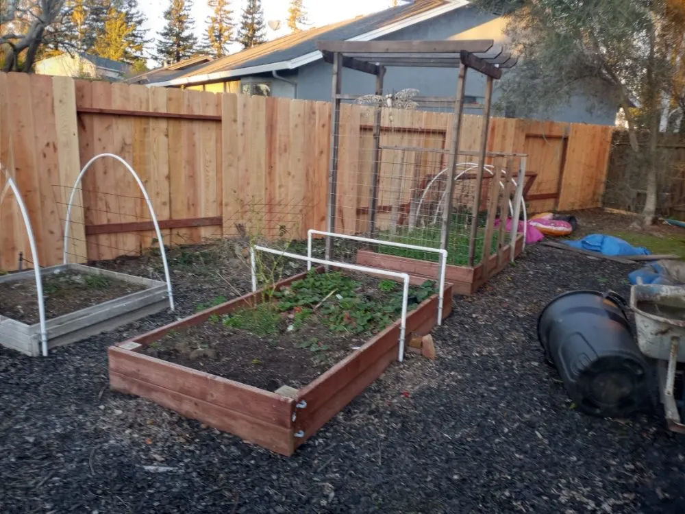 Trusted landscape design in Stockton, CA by Francos Fencing And Gardening
