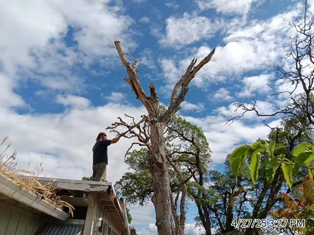 Expert residential landscaping experts serving Lakeport, CA - Franco's Landscaping