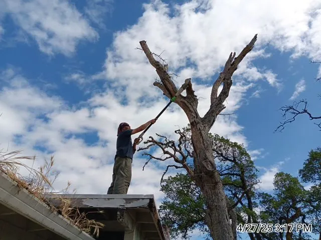 Professional lawn mowing service in Lakeport, CA - Franco's Landscaping