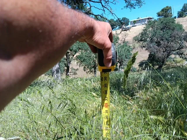 Top-rated landscape installation experts serving Lakeport, CA - Franco's Landscaping