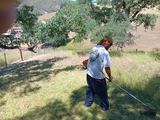 Local garden landscaping experts serving Lakeport, CA - Franco's Landscaping