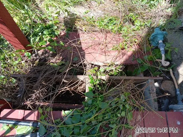 Local landscape design for beautiful yards across Lakeport, CA - Franco's Landscaping