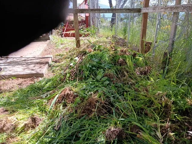 Top-rated landscape design in Lakeport, CA - Franco's Landscaping