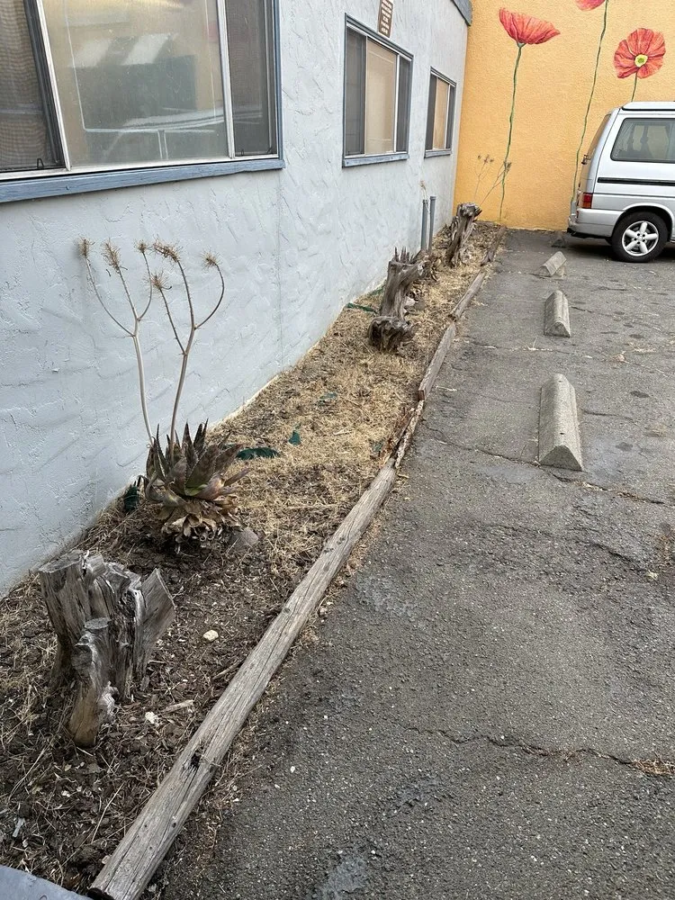 Trusted landscape installation in Lakeport, CA - Franco's Landscaping