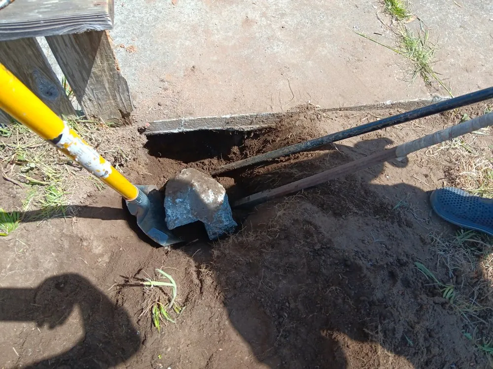 Affordable yard cleanup service experts serving Lakeport, CA - Franco's Landscaping