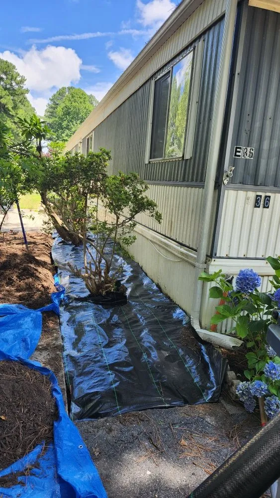 Affordable landscape installation for outdoor upgrades in Lewes, DE by Francos Landscaping