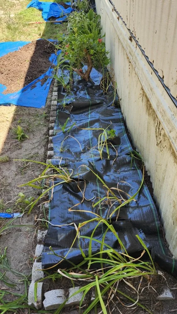 Trusted outdoor landscaping for beautiful yards across Lewes, DE - Francos Landscaping