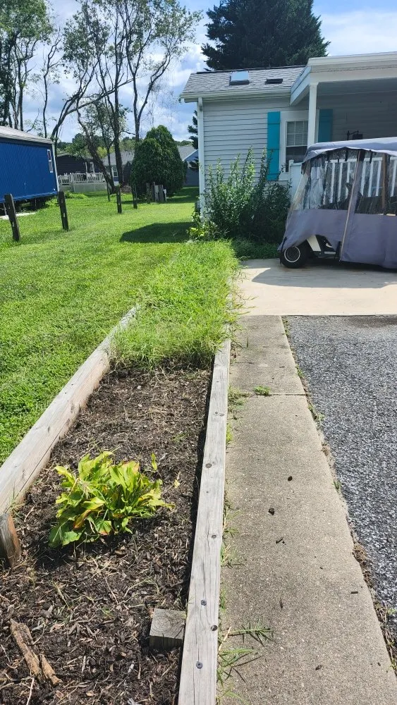 Top-rated garden landscaping for outdoor upgrades across Lewes, DE - Francos Landscaping